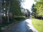 551 Morgan Road The drive up to the house